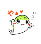 ミドリフグのぷっくん（個別スタンプ：1）