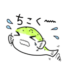 ミドリフグのぷっくん（個別スタンプ：19）