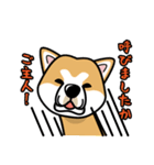 iinu 秋田犬（個別スタンプ：1）