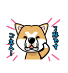 iinu 秋田犬（個別スタンプ：2）