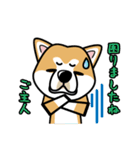 iinu 秋田犬（個別スタンプ：3）