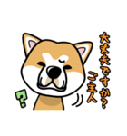 iinu 秋田犬（個別スタンプ：4）