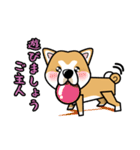 iinu 秋田犬（個別スタンプ：5）