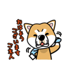 iinu 秋田犬（個別スタンプ：7）