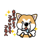 iinu 秋田犬（個別スタンプ：12）