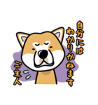 iinu 秋田犬（個別スタンプ：13）