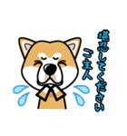 iinu 秋田犬（個別スタンプ：19）