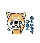 iinu 秋田犬（個別スタンプ：22）