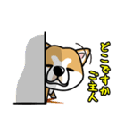 iinu 秋田犬（個別スタンプ：23）