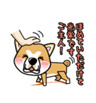 iinu 秋田犬（個別スタンプ：24）
