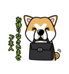 iinu 秋田犬（個別スタンプ：27）