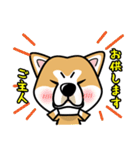 iinu 秋田犬（個別スタンプ：31）