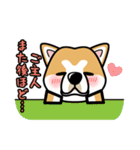 iinu 秋田犬（個別スタンプ：34）