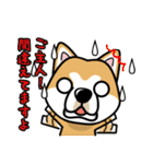 iinu 秋田犬（個別スタンプ：35）