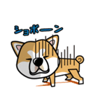 iinu 秋田犬（個別スタンプ：36）