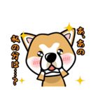 iinu 秋田犬（個別スタンプ：37）