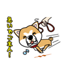 iinu 秋田犬（個別スタンプ：39）