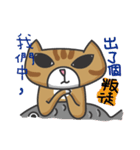 tabby cat's life（個別スタンプ：6）