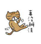 tabby cat's life（個別スタンプ：7）