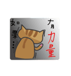 tabby cat's life（個別スタンプ：9）