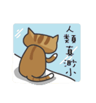 tabby cat's life（個別スタンプ：22）