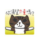 tabby cat's life（個別スタンプ：28）