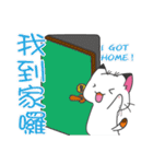 Calico cat don't talk partII（個別スタンプ：40）