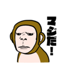 【新年】不人気な猿ですが…【だけ人気】（個別スタンプ：34）