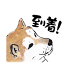 動物の絵手紙（個別スタンプ：4）