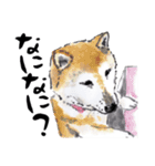 動物の絵手紙（個別スタンプ：5）