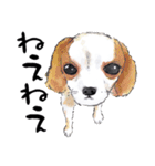 動物の絵手紙（個別スタンプ：7）