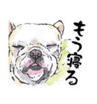 動物の絵手紙（個別スタンプ：12）