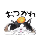 動物の絵手紙（個別スタンプ：15）