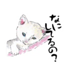 動物の絵手紙（個別スタンプ：19）