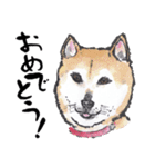 動物の絵手紙（個別スタンプ：30）