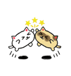 ころころ 「たまねこ」（個別スタンプ：2）