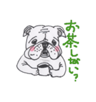 脱力犬 ブルドッグ（個別スタンプ：5）