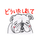 脱力犬 ブルドッグ（個別スタンプ：25）