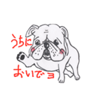 脱力犬 ブルドッグ（個別スタンプ：37）