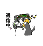鯖にゃ～（個別スタンプ：13）