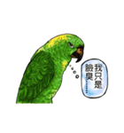 parrot like to talk（個別スタンプ：14）