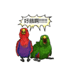 parrot like to talk（個別スタンプ：18）