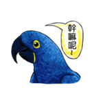 parrot like to talk（個別スタンプ：22）