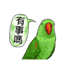 parrot like to talk（個別スタンプ：23）