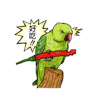 parrot like to talk（個別スタンプ：27）