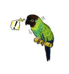 parrot like to talk（個別スタンプ：28）