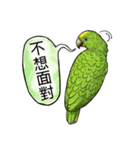 parrot like to talk（個別スタンプ：29）