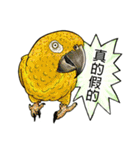 parrot like to talk（個別スタンプ：30）