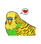 parrot like to talk（個別スタンプ：31）