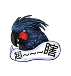 parrot like to talk（個別スタンプ：35）